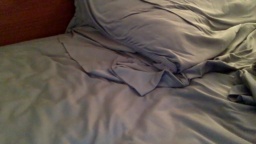 Bigcollegecock69690  19-10-2020